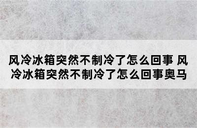 风冷冰箱突然不制冷了怎么回事 风冷冰箱突然不制冷了怎么回事奥马